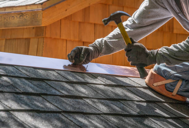Best Asphalt Shingles Roofing  in Wabasso Beach, FL