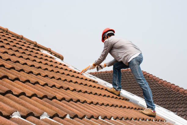 Reliable Wabasso Beach, FL Roofing services Solutions