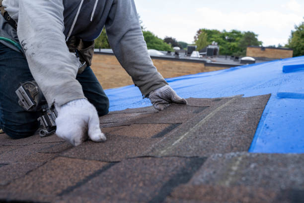 Best Green or Eco-Friendly Roofing Solutions  in Wabasso Beach, FL