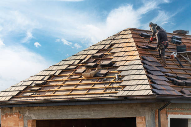 Best Roof Moss and Algae Removal  in Wabasso Beach, FL
